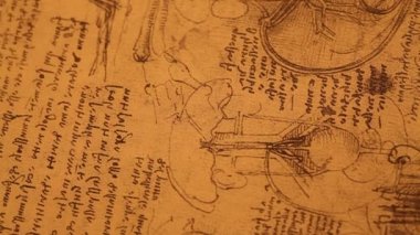 Anatomy art